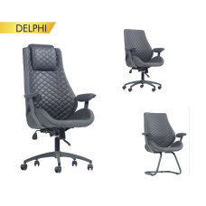 Delphi Müdür Şef ve Misafir Koltukları