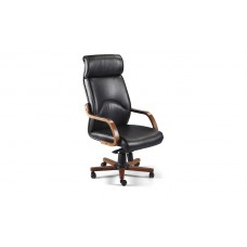 Move Müdür Koltukları